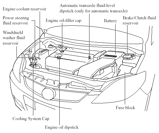 Engine Oil