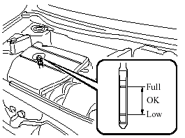 5. Pull it out again and examine the level.