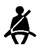The seat belt warning light illuminates
