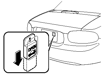 The inside trunk release lever is located