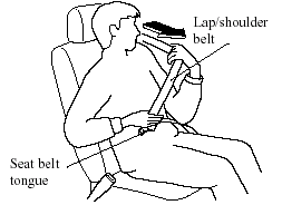 3. Insert the seat belt tongue into the seat