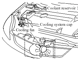 Stop the engine and call an Authorized