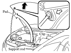 3. Grasp the support rod in the padded