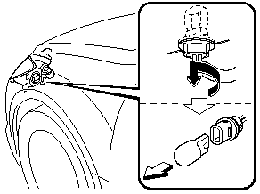 4. Disconnect the bulb from the socket.