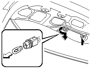 3. Disconnect the bulb from the socket.