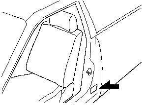 Motor Vehicle Safety Standard Label