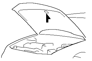 Vehicle Emission Control Information Label