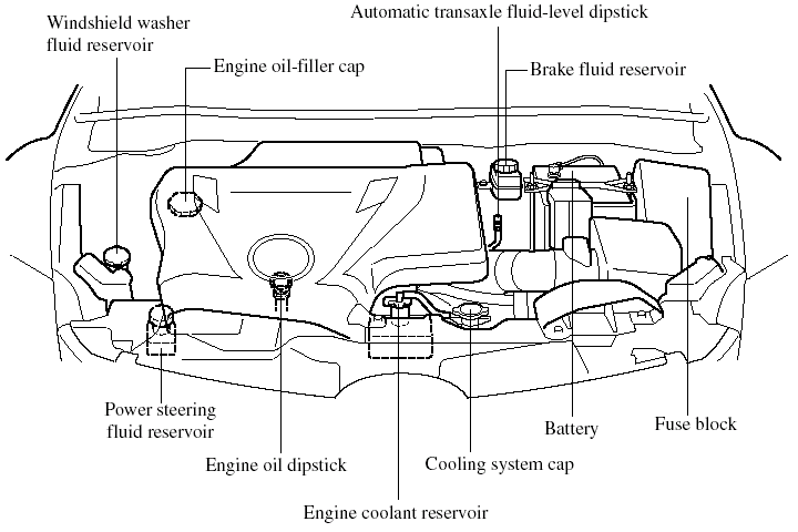 Engine Compartment Overview